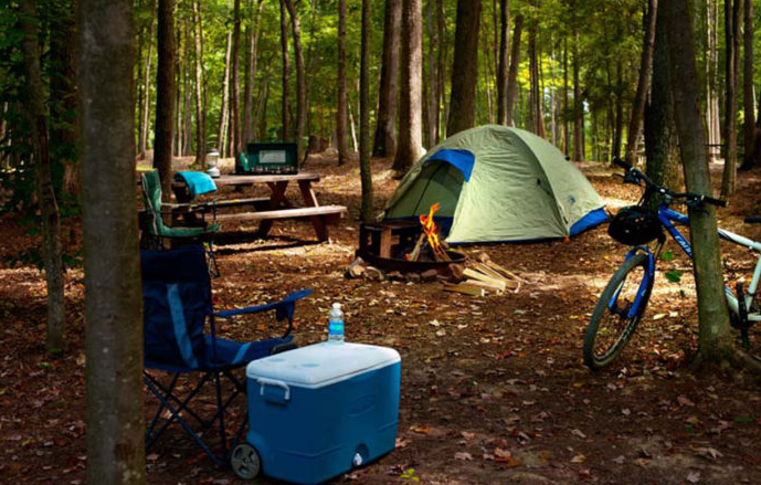 Beginners Guide to Camping With Essential Camping Tips